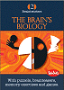 The brain’s biology
